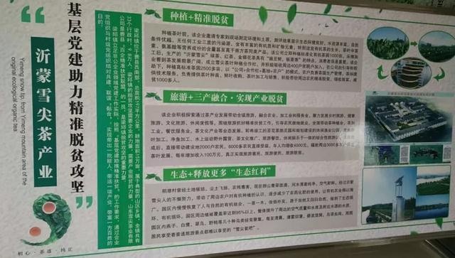 基層黨建助理攻堅脫貧