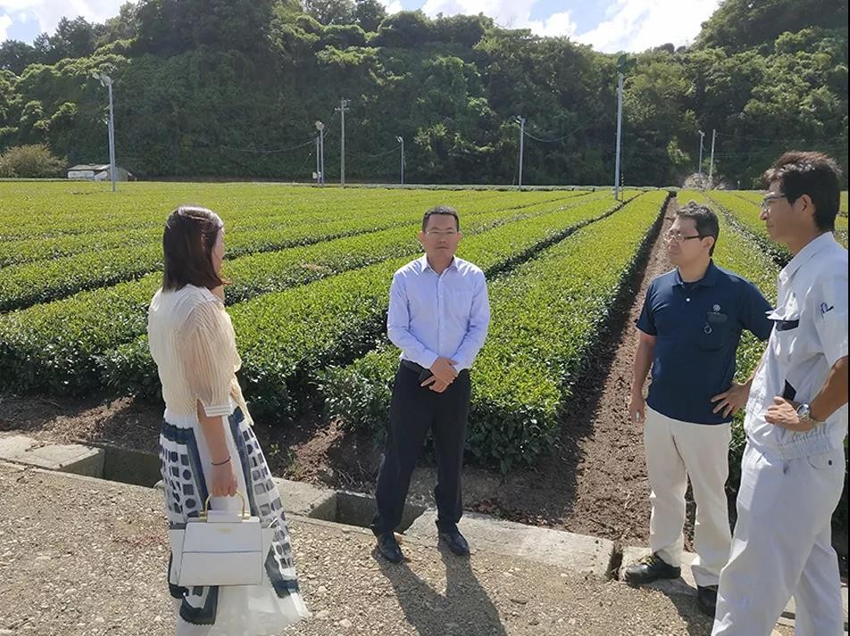 了解學習風力除霜技術